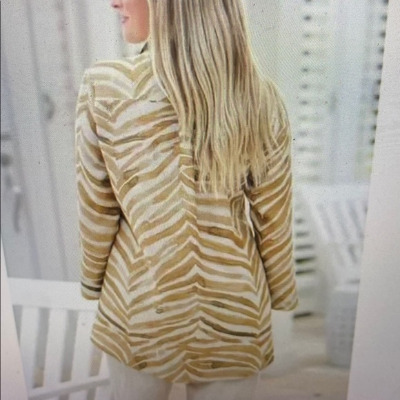 iLinen Classic Button Down Shirt Natural Zebra Size XS - Picture 2 of 12